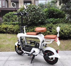 12" E-bike with pet house