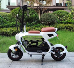 12" E-bike with pet house