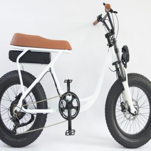 20" fat tire e-bike